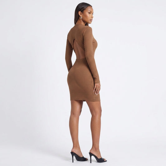 Honey Long Sleeve Ribbed Mini Dress