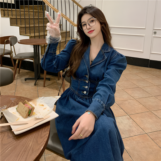 Timeless Grace Denim Midi Dress