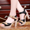 Aqua Buckle Platforms