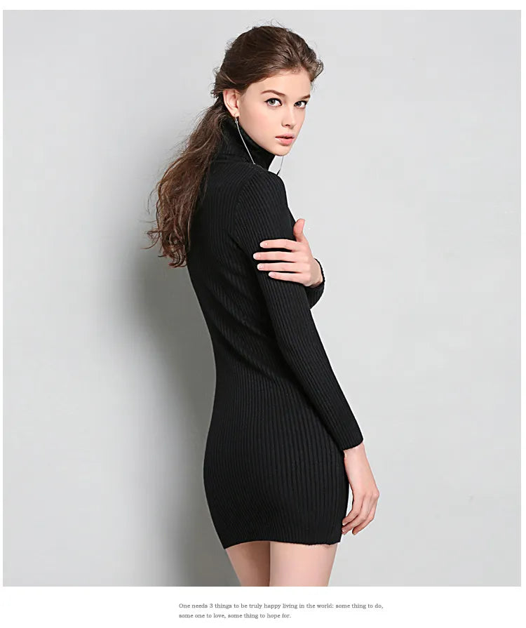 Whisper Noir Turtleneck Sweater Dress