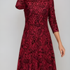 Scarlet Reverie Lace Velvet A-Line Dress
