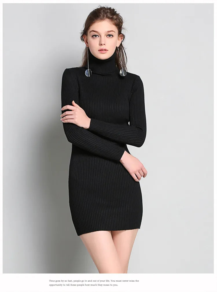 Whisper Noir Turtleneck Sweater Dress