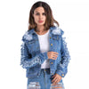 Arrya Denim Clothing Jacket