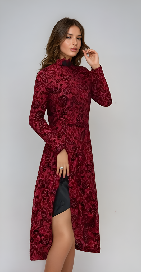 Scarlet Reverie Lace Velvet A-Line Dress