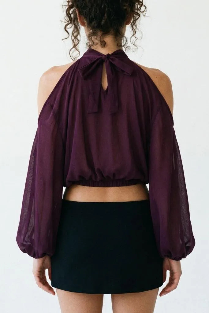 A Little Drama Sheer Cold-Shoulder Bow-Back Crop Top