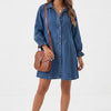 Button Up Flounce Sleeve Mini Denim Dress