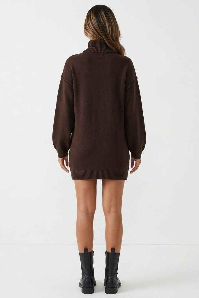 Cocoa Season Turtleneck Sweater Mini Dress