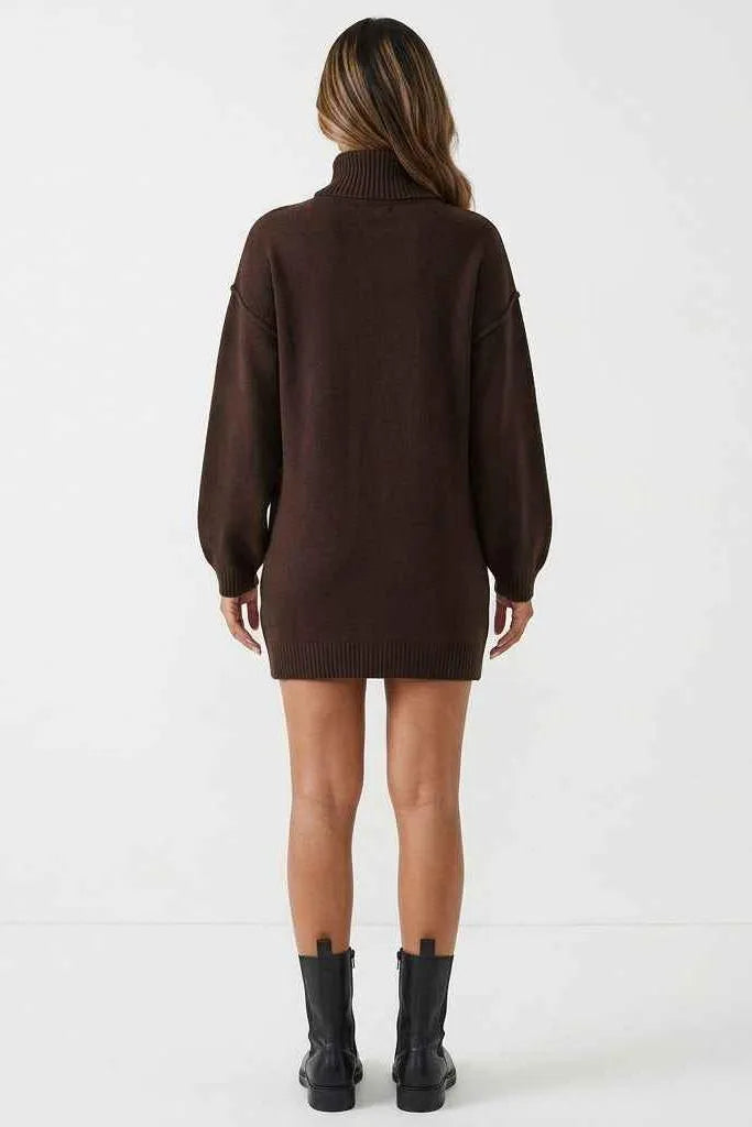 Cocoa Season Turtleneck Sweater Mini Dress