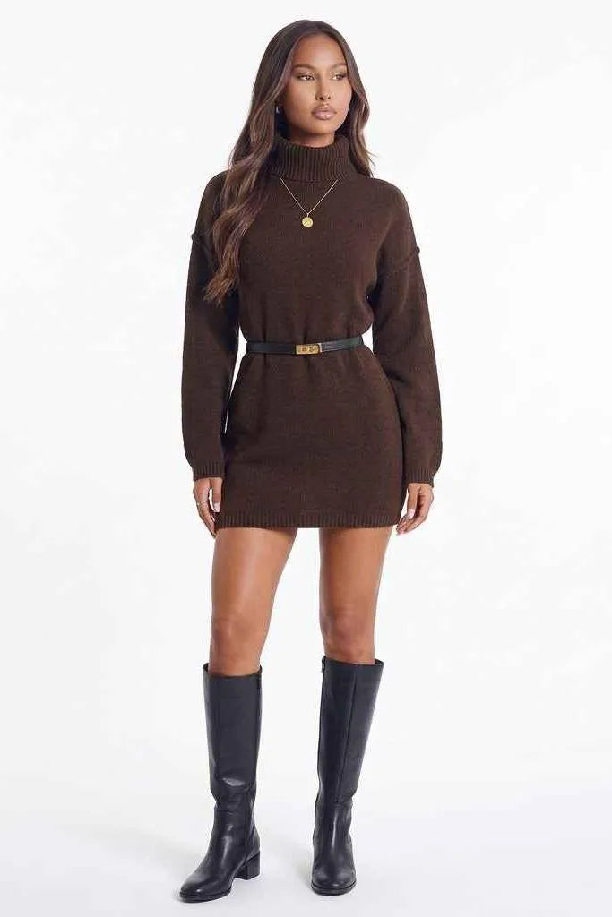 Cocoa Season Turtleneck Sweater Mini Dress