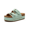 Double Buckle Suede Platform Slides