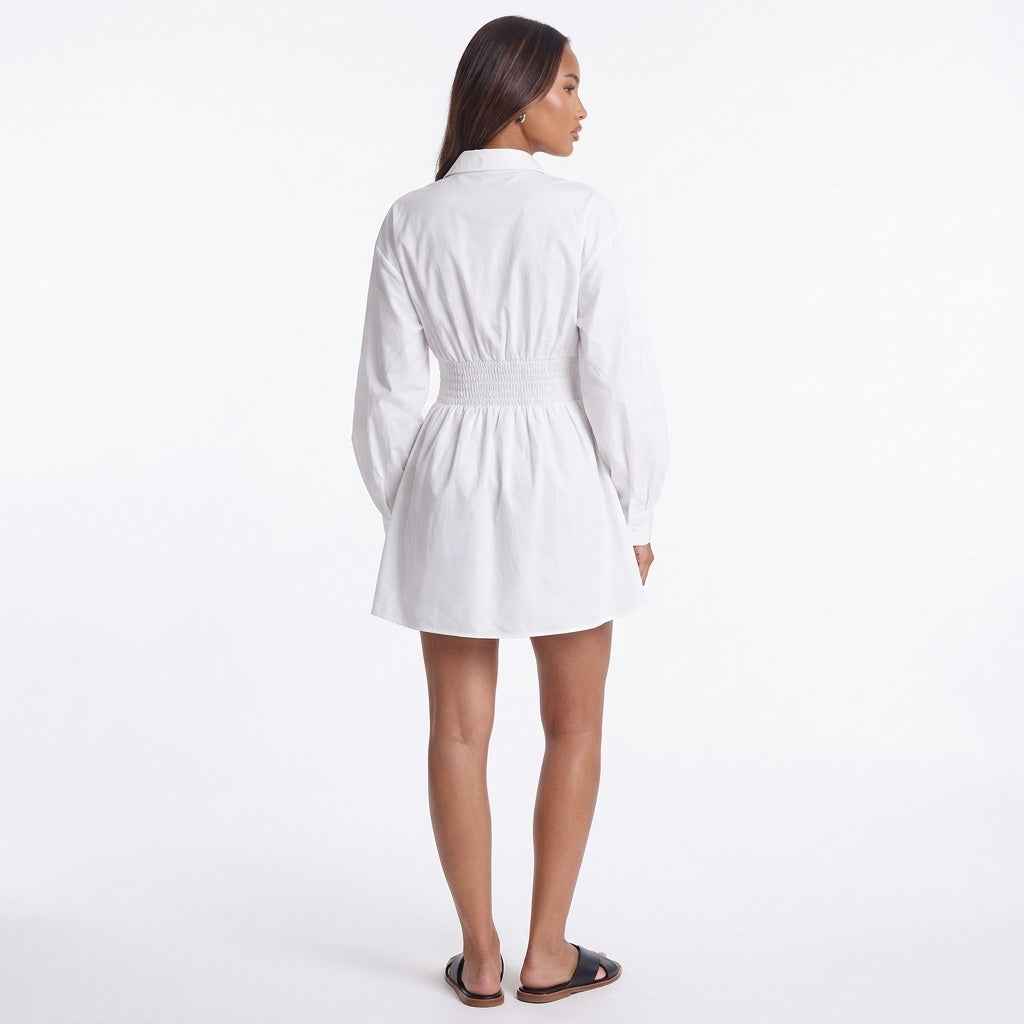 Sunday Stroll Ruched Collared Mini Dress