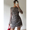 Rogue Mood Leopard Mesh Dress