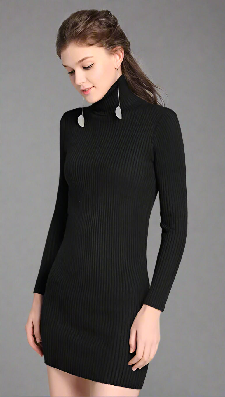 Whisper Noir Turtleneck Sweater Dress