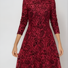 Scarlet Reverie Lace Velvet A-Line Dress