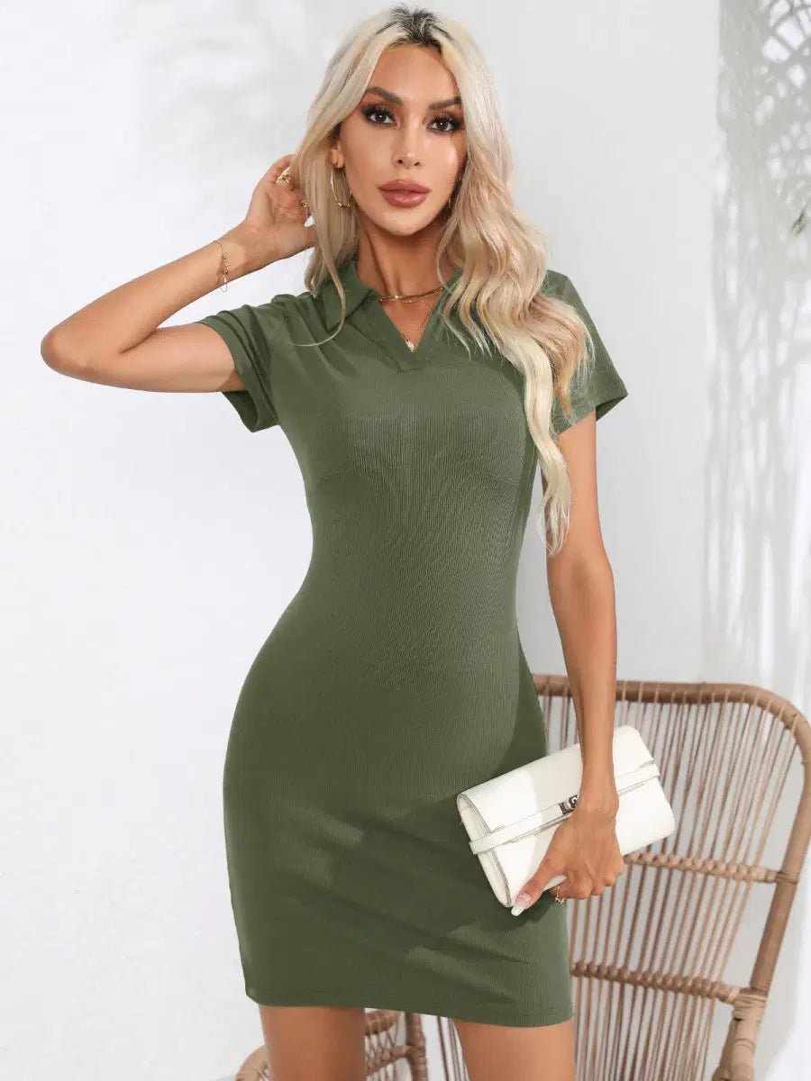 Johnny Bravo Collar Short Sleeve Bodycon Dress - Lustreve