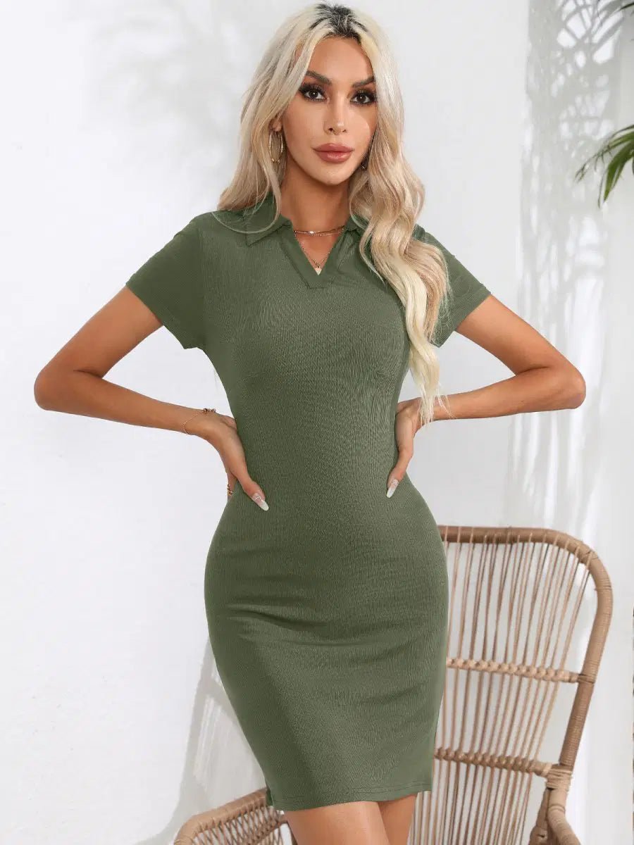 Johnny Bravo Collar Short Sleeve Bodycon Dress - Lustreve