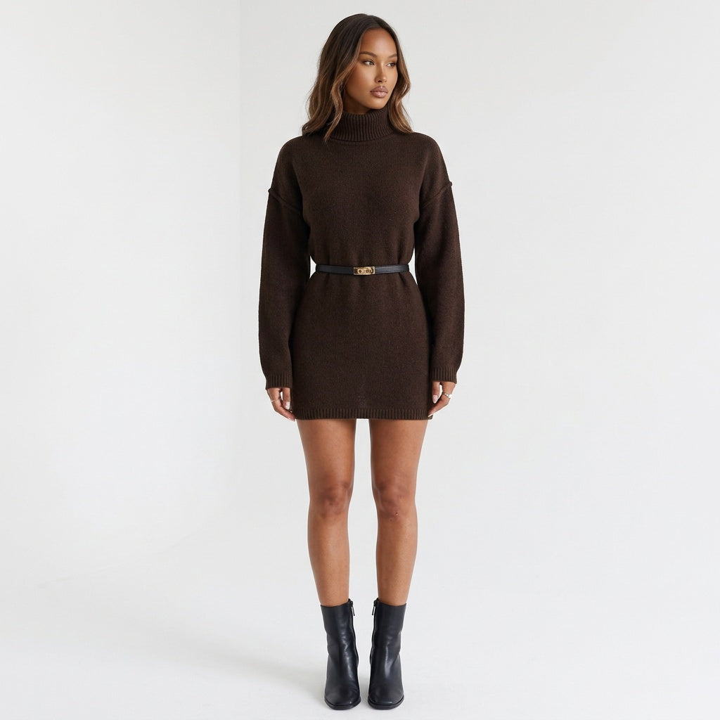 Cocoa Season Turtleneck Sweater Mini Dress