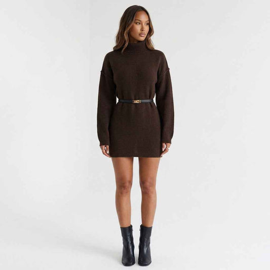 Cocoa Season Turtleneck Sweater Mini Dress