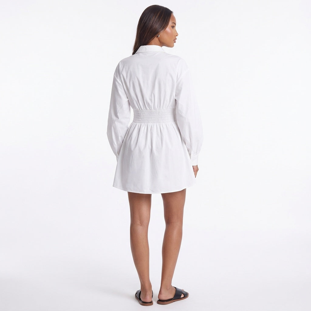 Sunday Stroll Ruched Collared Mini Dress