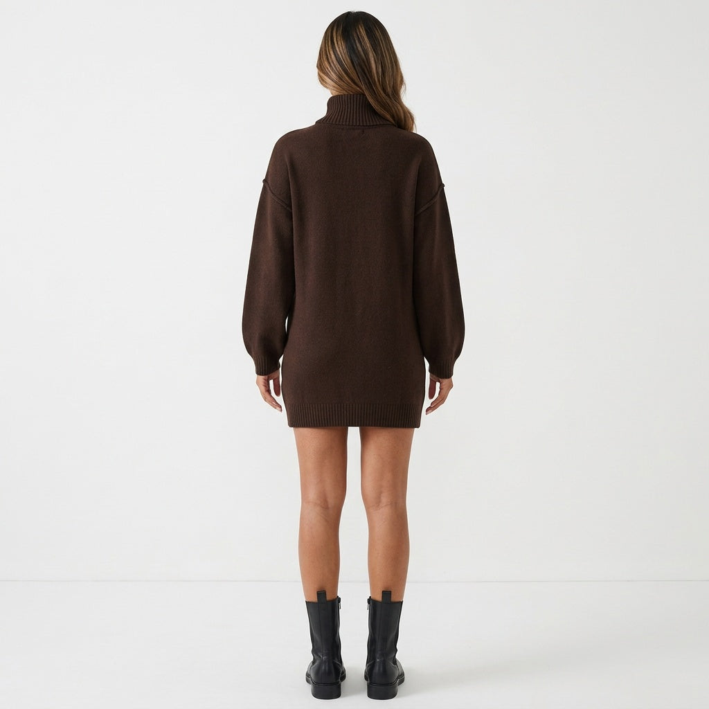 Cocoa Season Turtleneck Sweater Mini Dress